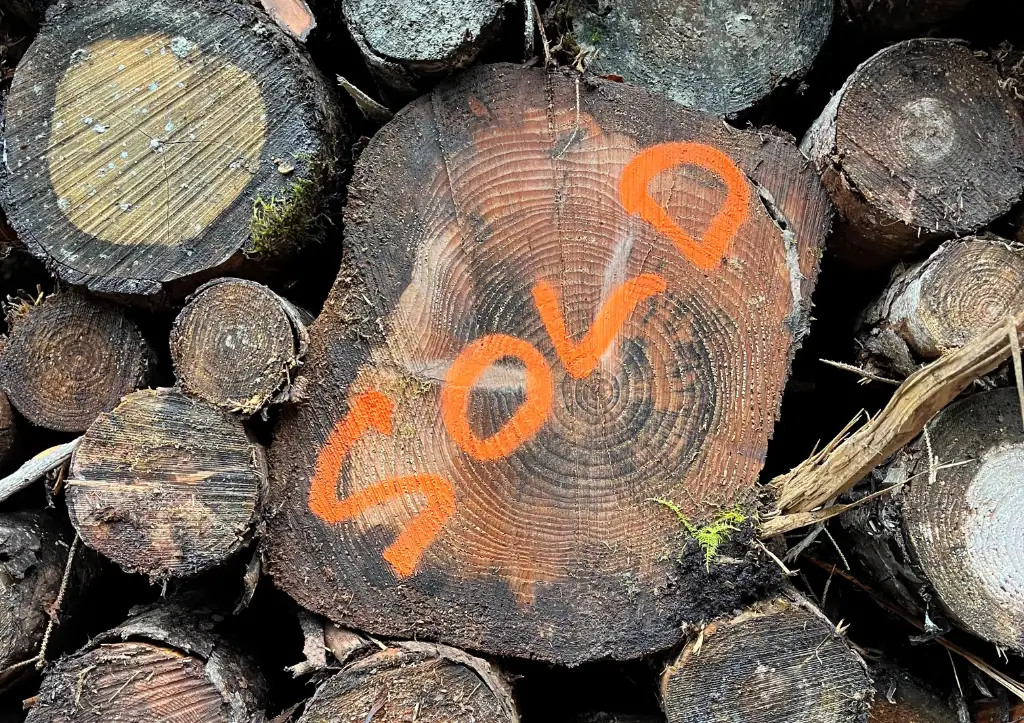 photograph of stacked logs, one of which has the word `sold` spray painted on it