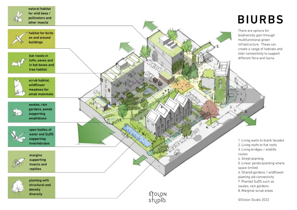 architect's isometric sketch of an urban area with integrated multifunctional green infrastructure, including living walls, street planting, marginal scrub areas and shared gardens
